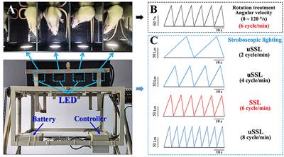 Stroboscopic lighting with intensity synchronized to rotation velocity alleviates motion sickness gastrointestinal symptoms and motor disorders in rats